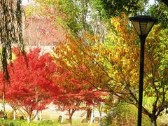 -上海交通大学(闵行校区)