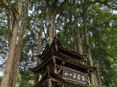 -青城山