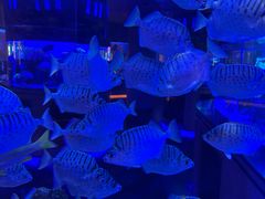 -上和臻品中国菜(花园街店)