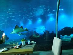 -海棠湾洲际-涛·海底餐厅·美人鱼·自助餐·海底隧道