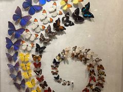 -广州白天鹅宾馆