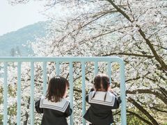 -杭州少年儿童公园