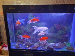 -宜昌富力皇冠假日酒店·咖啡1号西餐厅