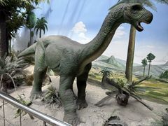 -国家自然博物馆