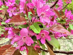 -元大都城垣遗址公园