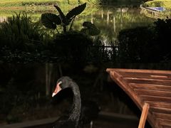 -湖泉半山温泉