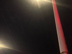-蝎王府羊蝎子(天通苑店)