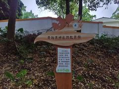 -火炉山森林公园