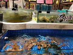 -渔人码头(中南店)