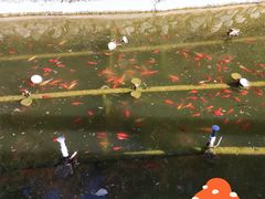 -四门塔风景区