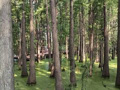 -东湖落雁景区