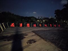 -大亚湾红树林城市湿地公园