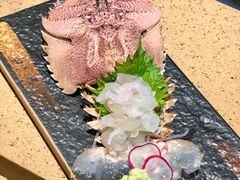扇虾-达摩君日本料理(泰海花园小区店)
