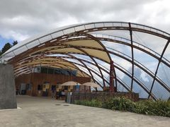 -怀托摩萤火虫洞