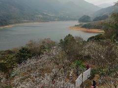 -广州市流溪河国家森林公园