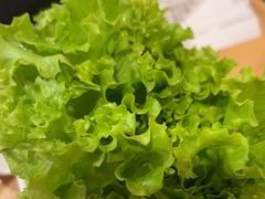 -蜀九香火锅(彩虹店)