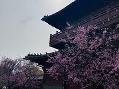 -开封府