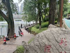 -重庆彩云湖湿地公园