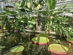 -国家植物园南园