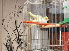 -博山菜·大厨烙馍村(金乔社区店)