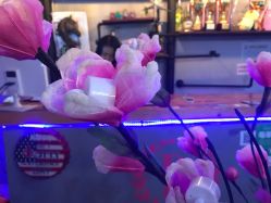 -BM SALON