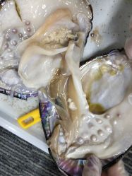 -邵老师打金·黄金加工(大望路总店)
