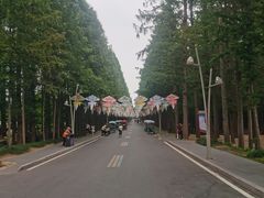 -日照海滨国家森林公园