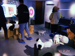 -极木²邸 人与宠物·互动社区