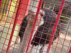 -荆州中山公园动物园