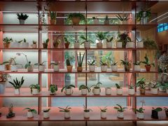 -二酉书店TOYOU BOOKS