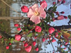 iphone_upload_pic-九里河湿地公园