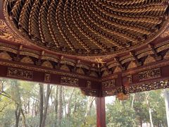 -汇龙潭