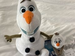 -奥兰多迪士尼动物王国乐园