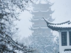 -红梅公园