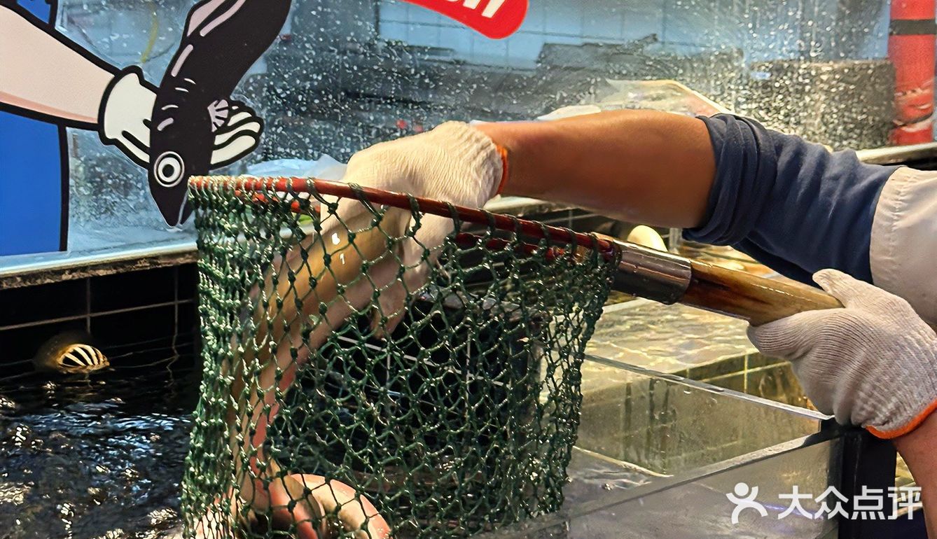 又是长见识的一顿！！现点现🔪的烤活鳗...