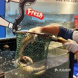 又是长见识的一顿！！现点现🔪的烤活鳗...