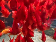 -常州海昌海洋探索馆