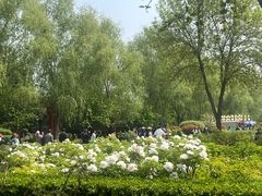 -洛阳市隋唐城遗址植物园