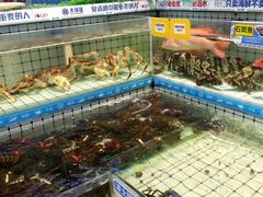 -大锅强·蒸海鲜青岛菜(金沙滩店)