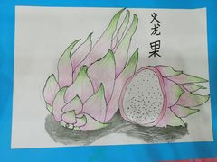 -东方童画少儿美术(金桥体验馆)