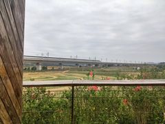 -光明小镇欢乐田园