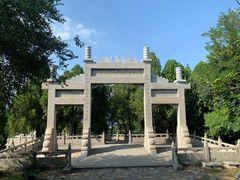 -原山国家森林公园