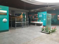 -中国湿地博物馆