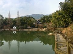 -宝岩生态观光园