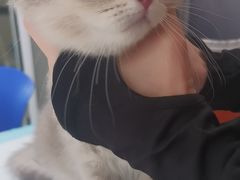 -美美宠物诊疗中心·异宠·骨科(滨江东信分院)