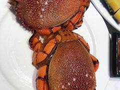 -半岛听涛蒸汽海鲜自助(K11店)