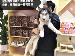 -Double Rui宠物酒店