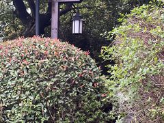 -天目湖涵田度假村
