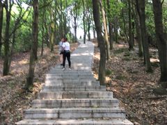 -火炉山森林公园