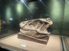 -自贡恐龙博物馆